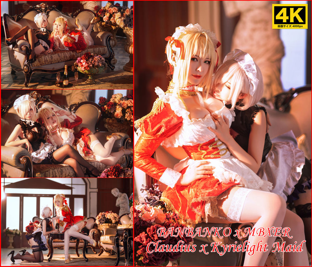 Claudius x Kyrielight Maid – 半半子X面饼仙儿 [22P]-lcoser