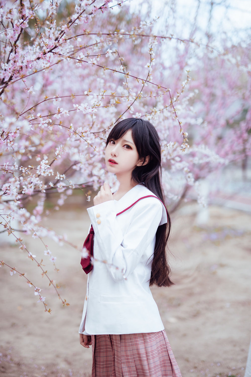 樱花 [13P]-lcoser